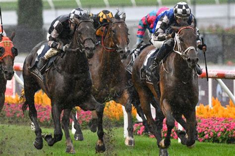 2021 all star mile|What the jockeys said after the 2021 All.